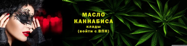 ECSTASY Ельня