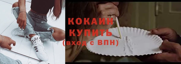 ECSTASY Елизово
