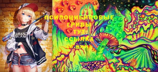 ECSTASY Елизово