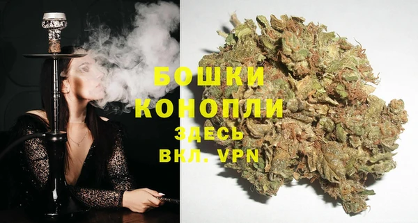 ECSTASY Ельня