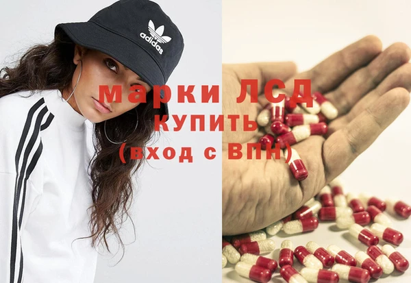 ECSTASY Елизово