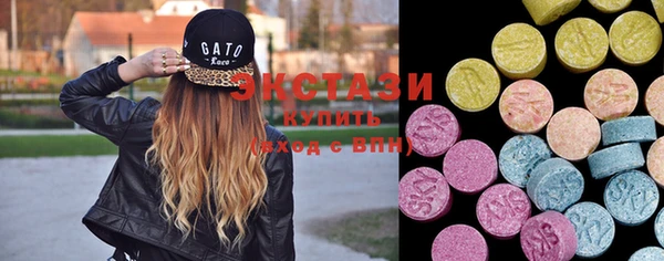 ECSTASY Ельня