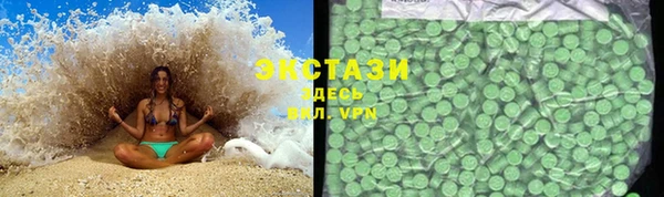 ECSTASY Ельня