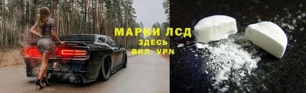 ECSTASY Елизово